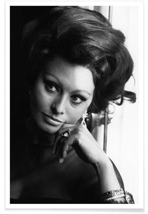 poster sophia loren|More.